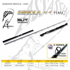 3.Boat, Popping & Jigging -  ASSASSIN SERIOLA HMC